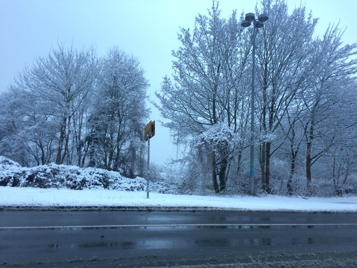 a wet winter road