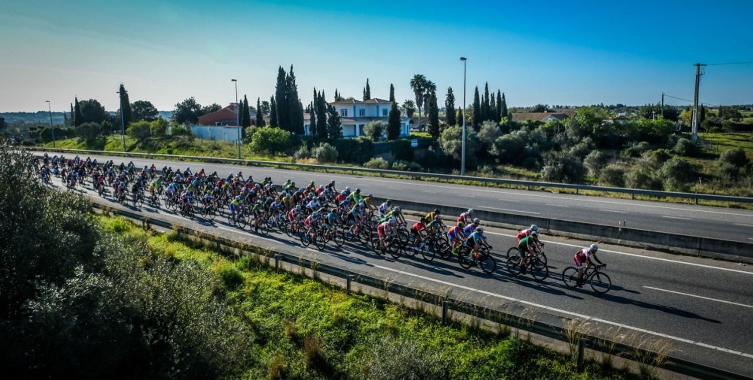 professional cyclists ride on a road in the volta a algarve