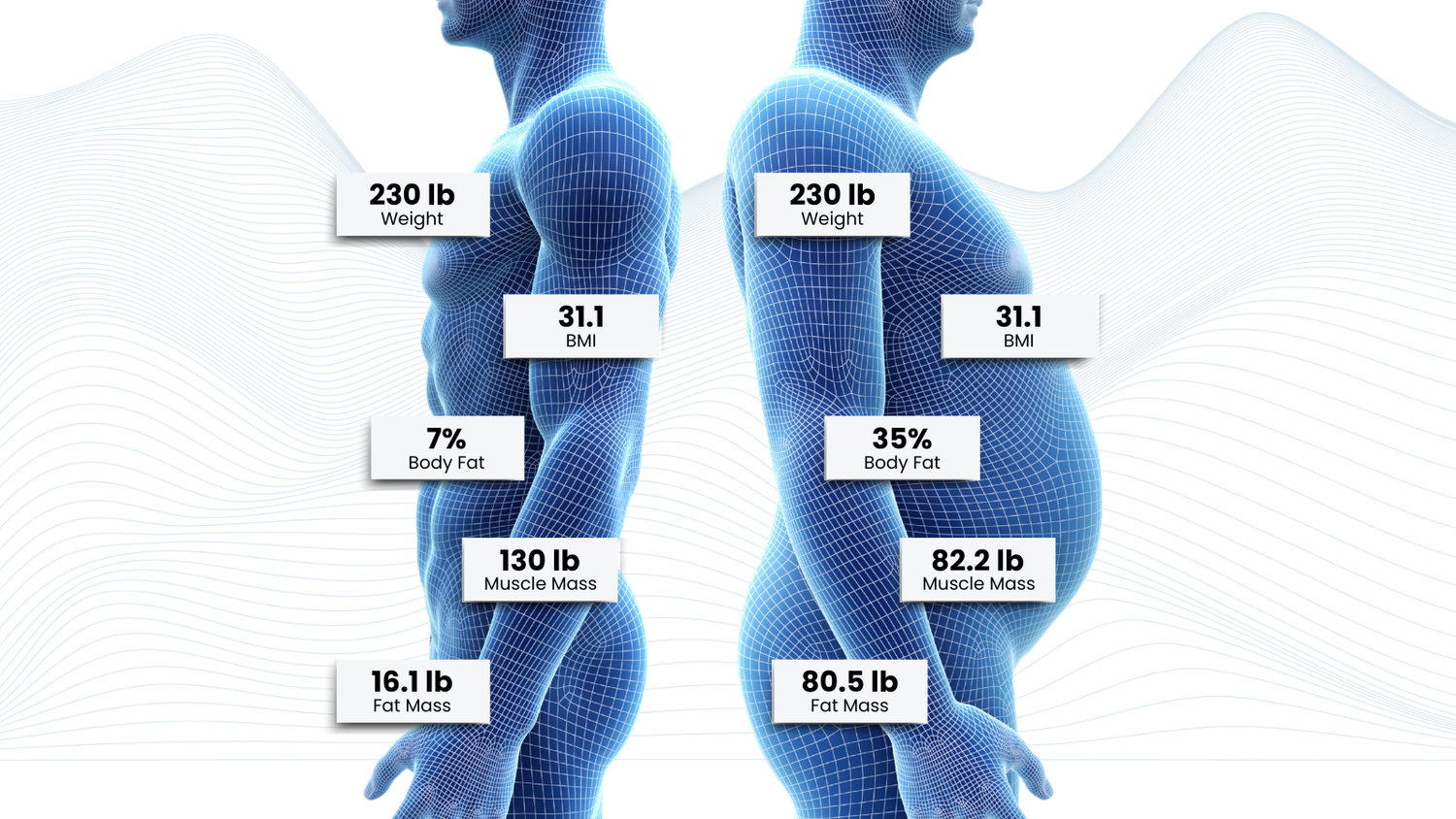 Curated visual reference: Weightlifting For Changing Body Composition Reference: Healthy Habits For Happiness