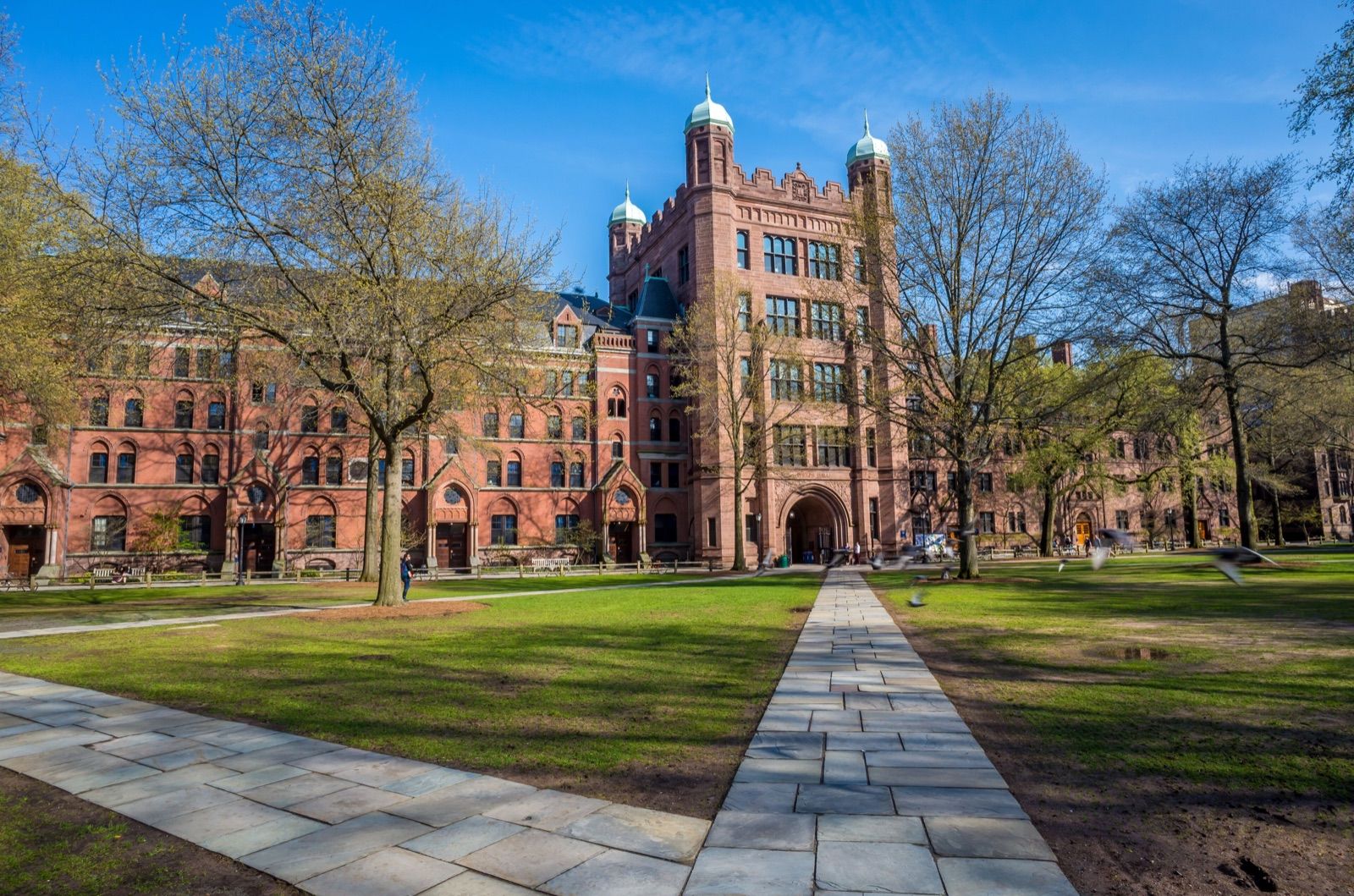Historic Yale campus building on a sunny day