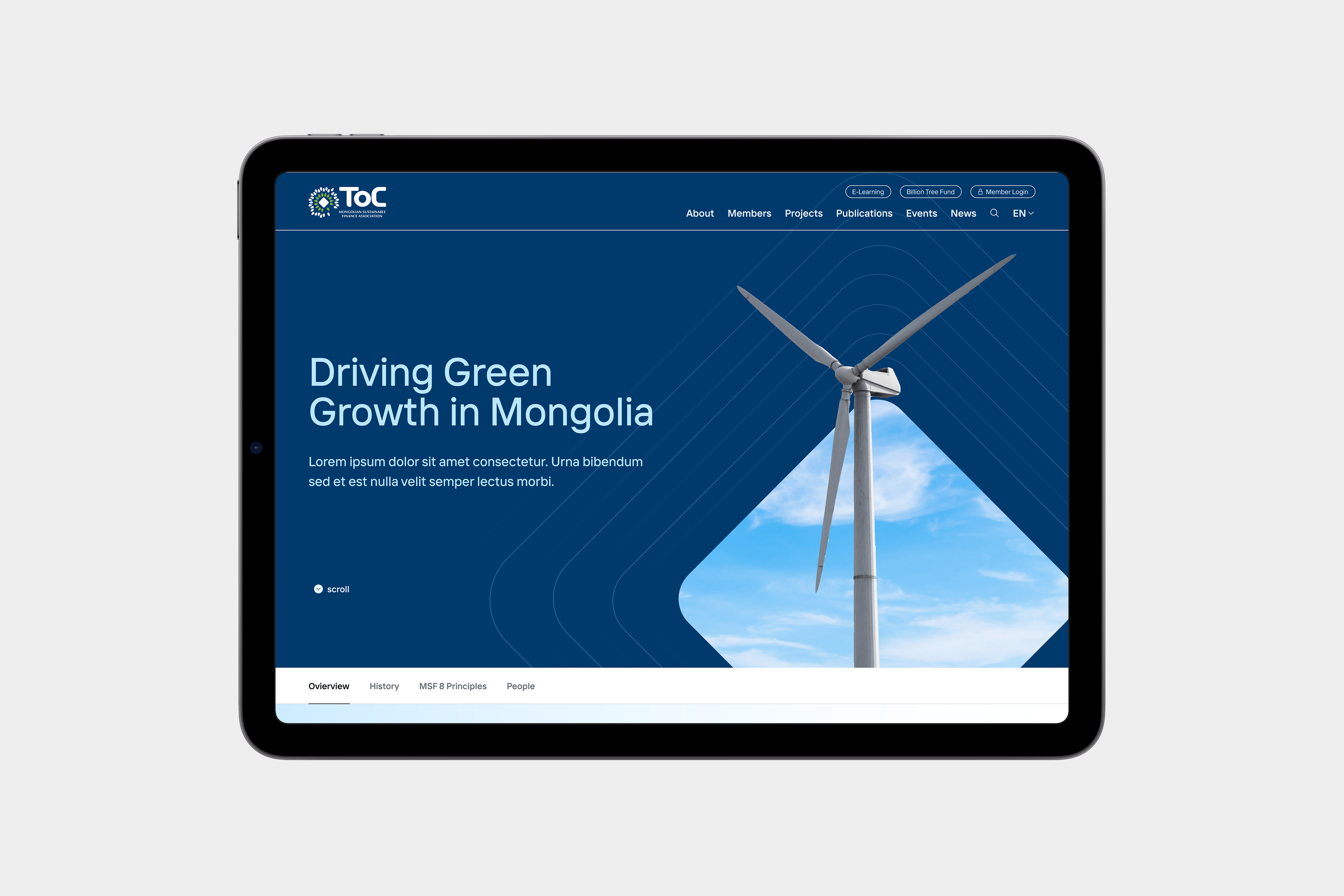 Mongolian Sustainable Finance Association project image