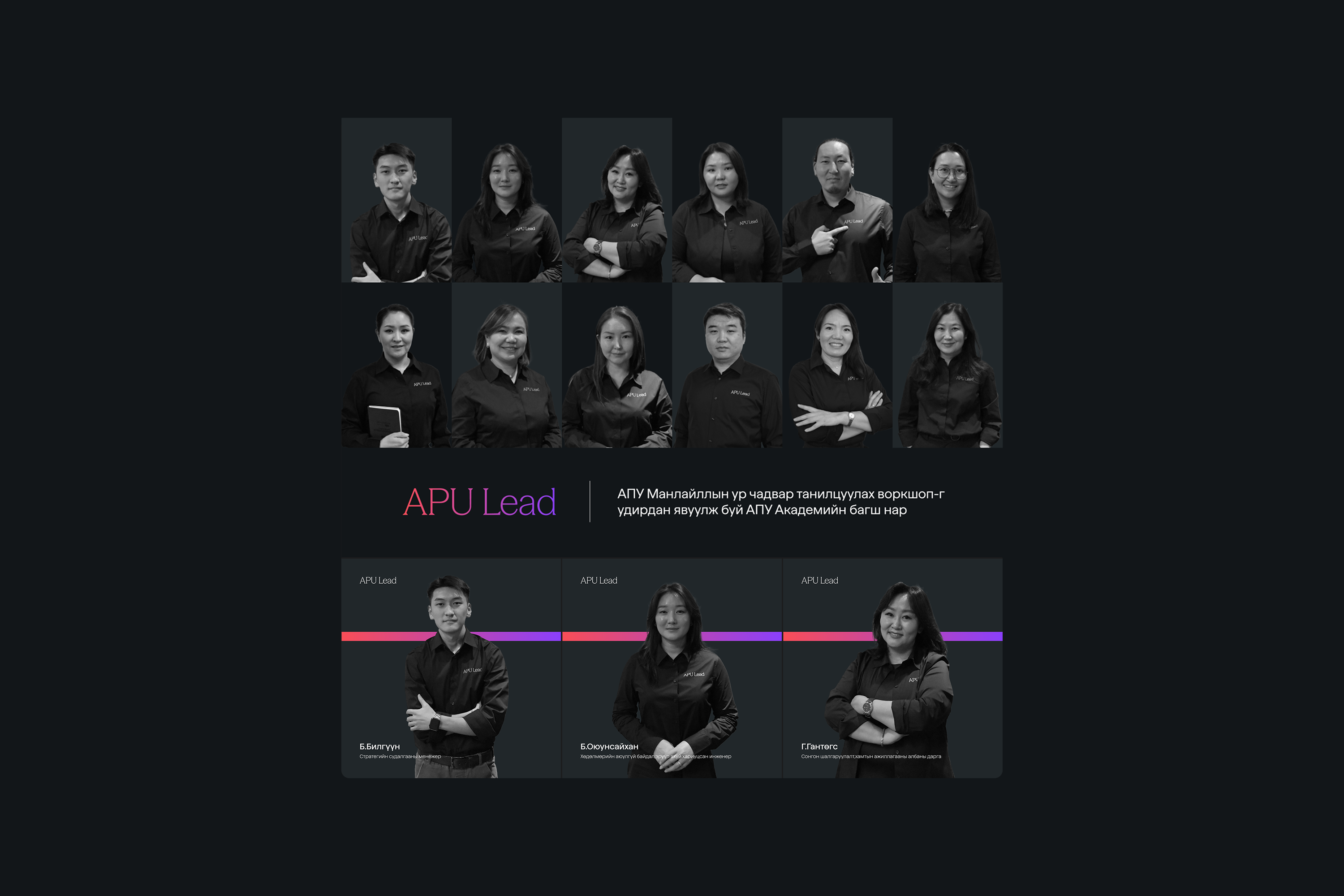 APU Lead project image