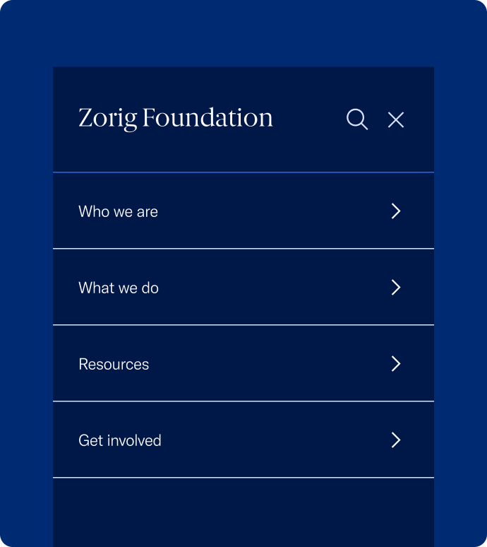 Zorig Foundation Website project image