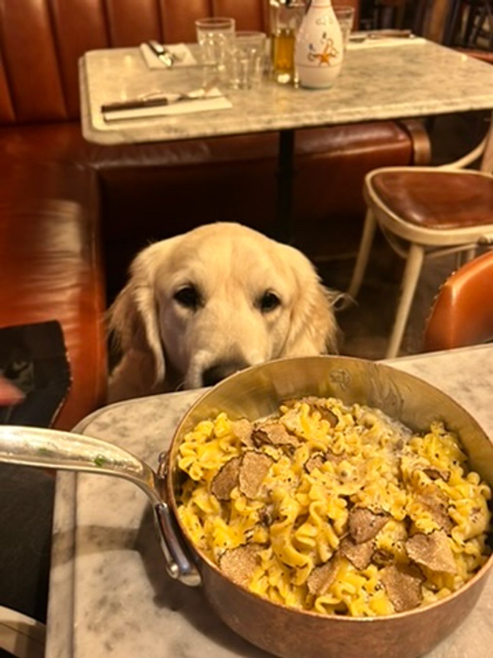 Restaurant Dog friendly