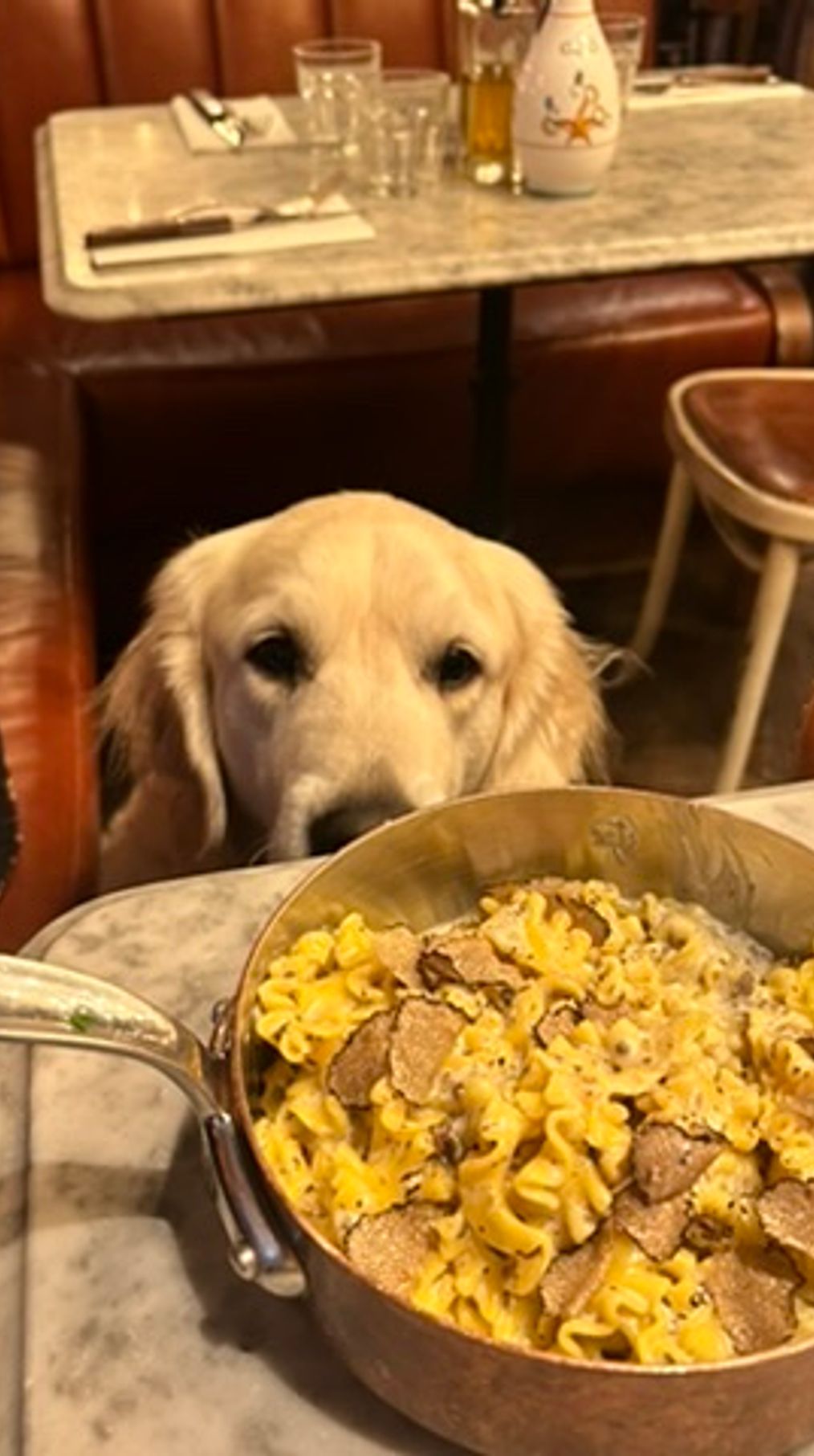 Restaurant Dog friendly