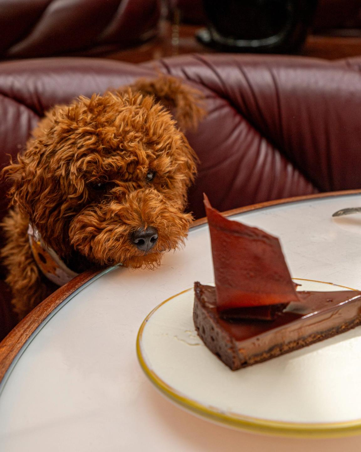 Big Mamma · Italian restaurants con molto amore