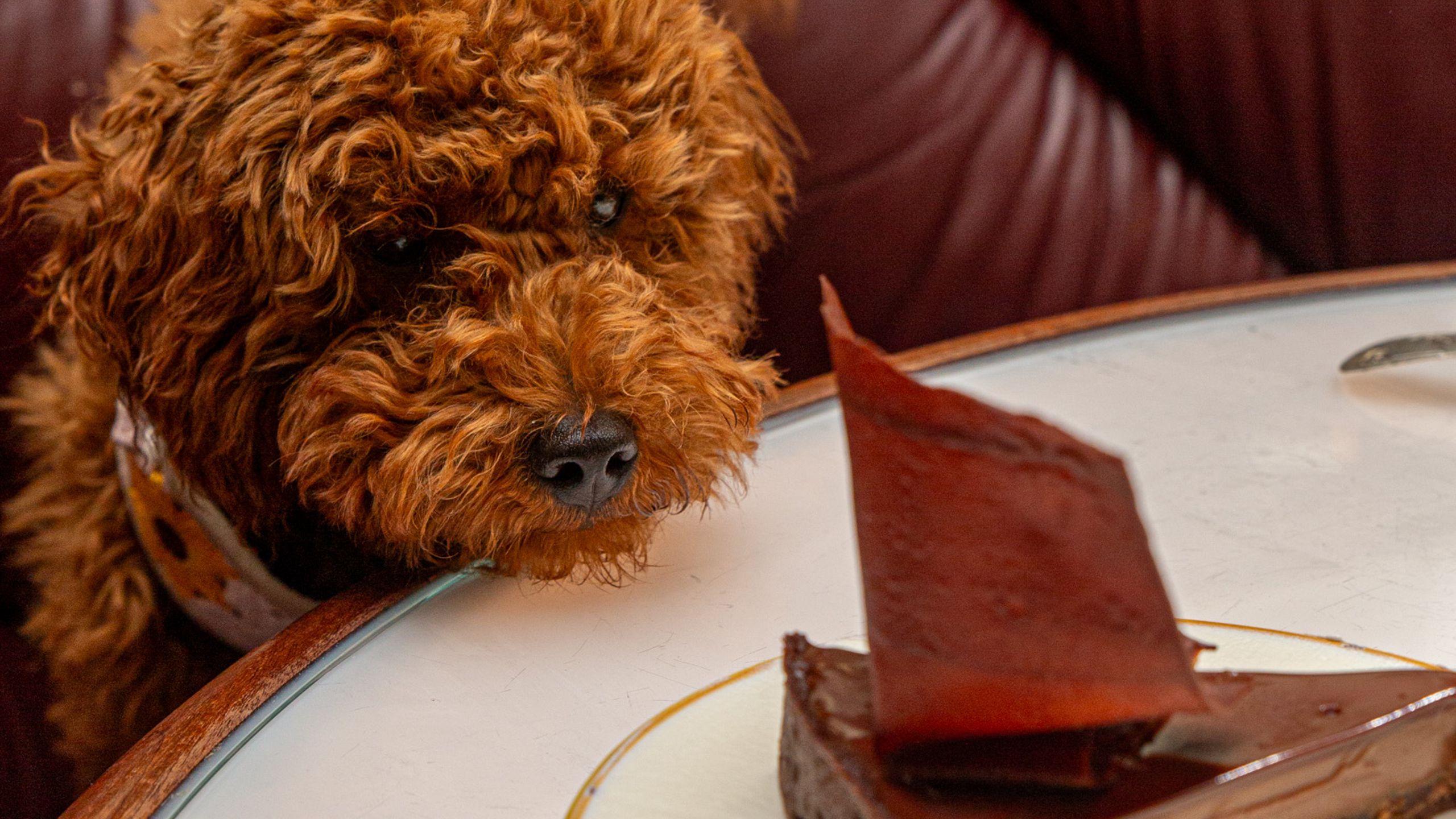 Big Mamma · Italian restaurants con molto amore