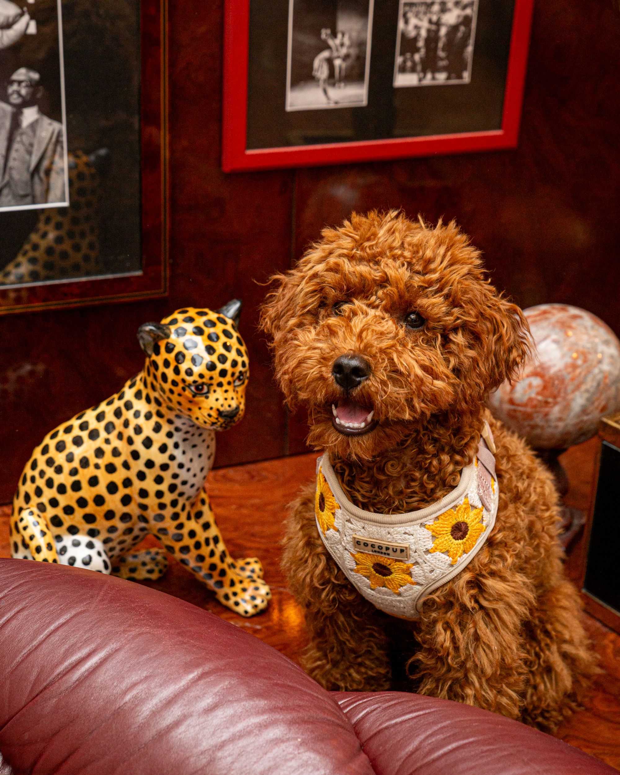 East Mamma - Paris 11