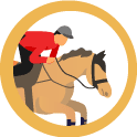 Mercado Cavalos Nova Oportunidade
