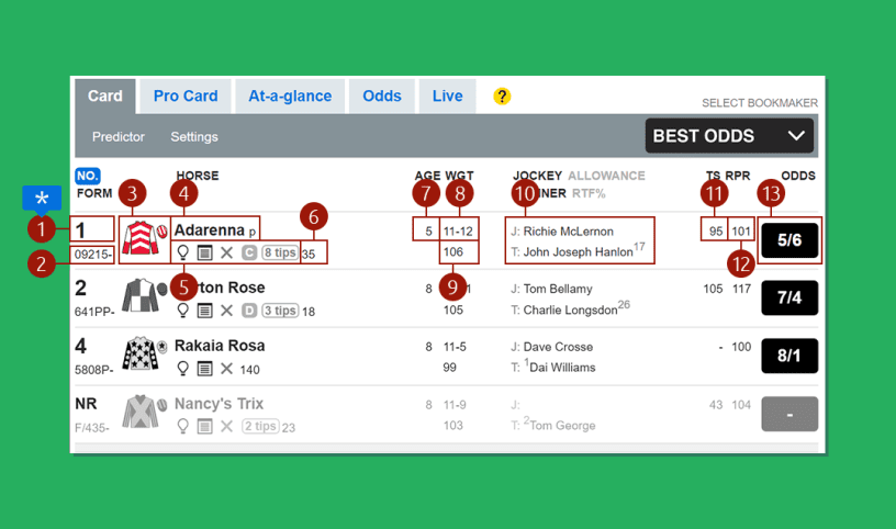 Analisando A Racecard Do Jockey E Seu Cavalo