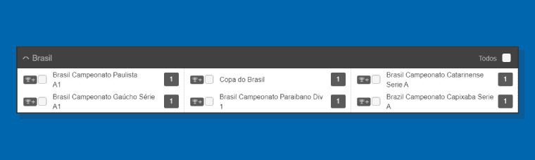 Competicao Campeonato Catarinense