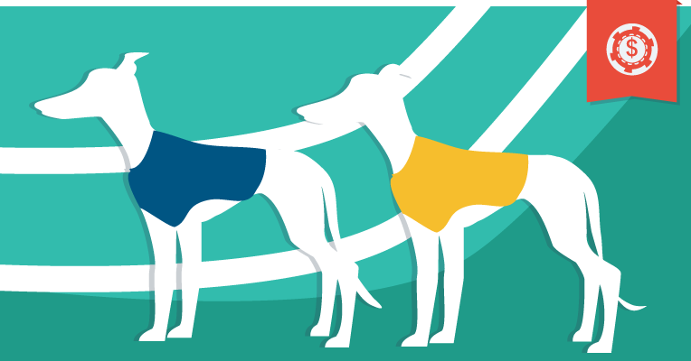 Corrida de galgos: como apostar em galgos e bônus especial