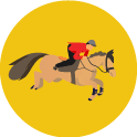 Por Que Fazer Trading Cavalos Betfair