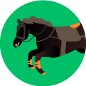Carreras de caballos con Handicap