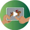 Possivel Fazer Trading Cavalos Antes Corrida Comecar