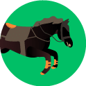 Carreras de caballos sin Handicap
