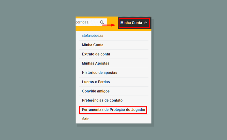 Auto Exclusao
