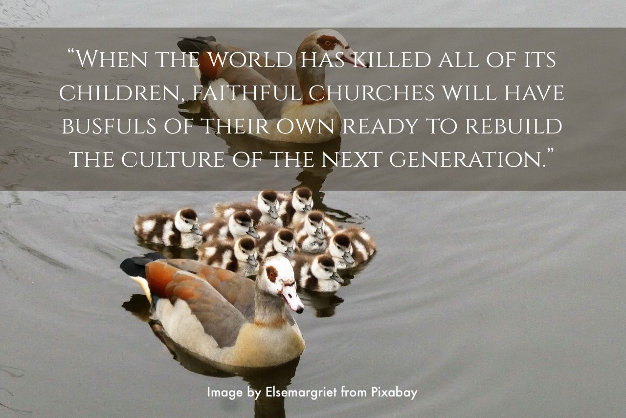 Blog image 1