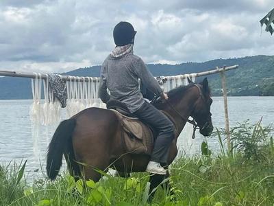 Ghana Wildlife & Canopy Adventure image 4