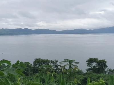 Ghana Wildlife & Canopy Adventure image 3