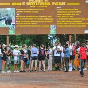 Forest and Wildlife Conservation - Image 5