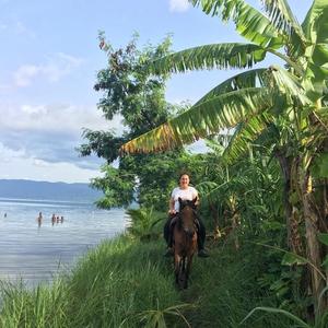 Forest and Wildlife Conservation - Image 1