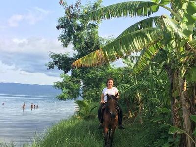 Ghana Wildlife & Canopy Adventure image 1