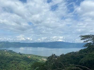 Ghana Wildlife & Canopy Adventure image 5