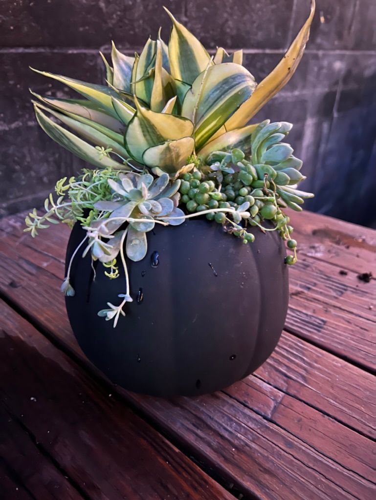 fall planter