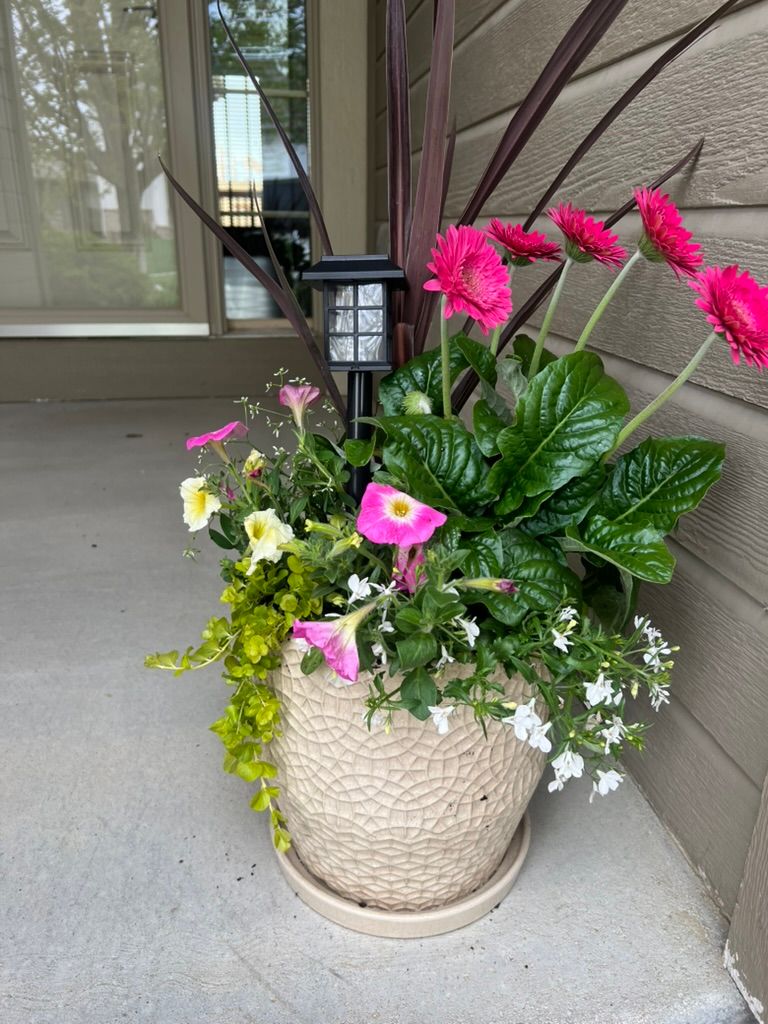 Spring planter