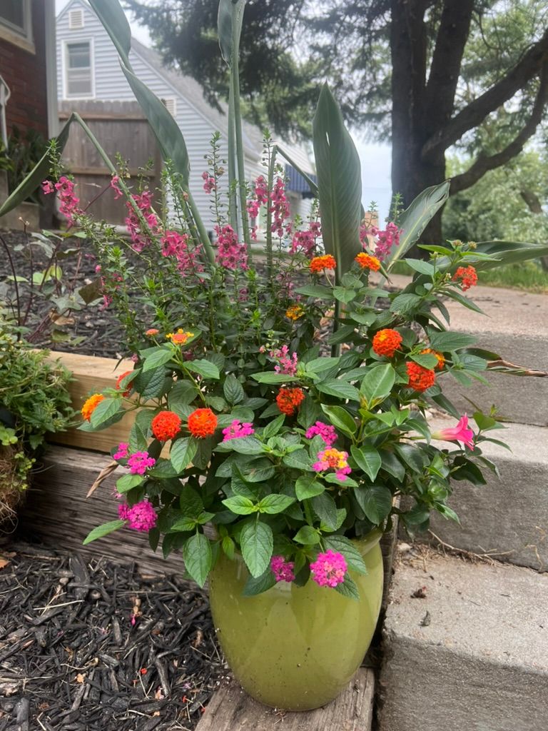 summer planter