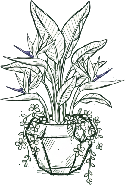 quartz plant co logo