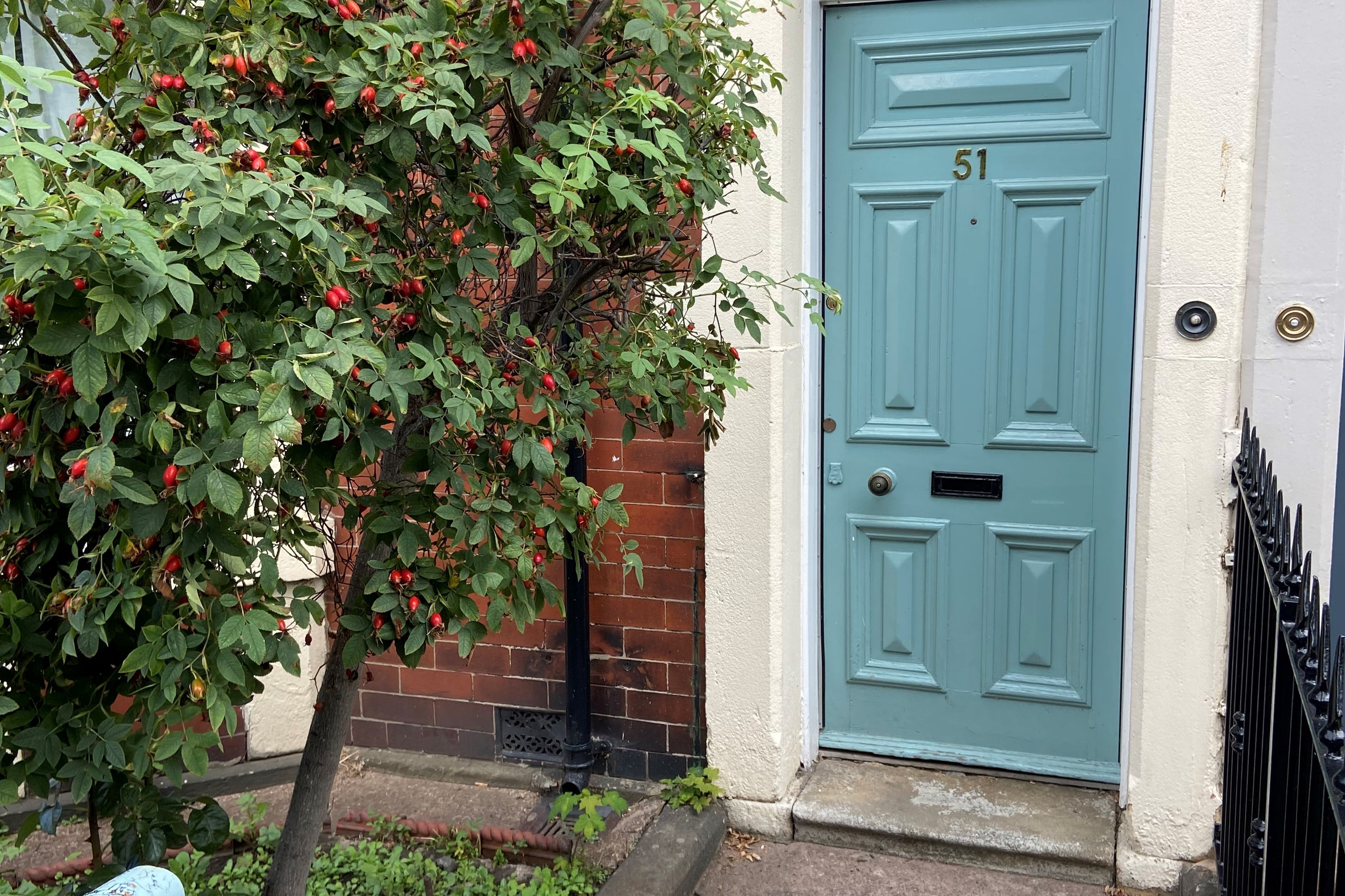 Image of the property