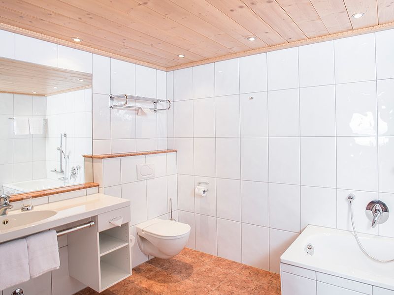 Apartment "Steinbergkogel" - Image 2