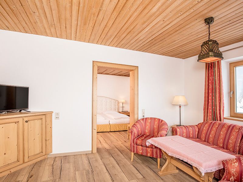 Apartment "Steinbergkogel" - Image 6