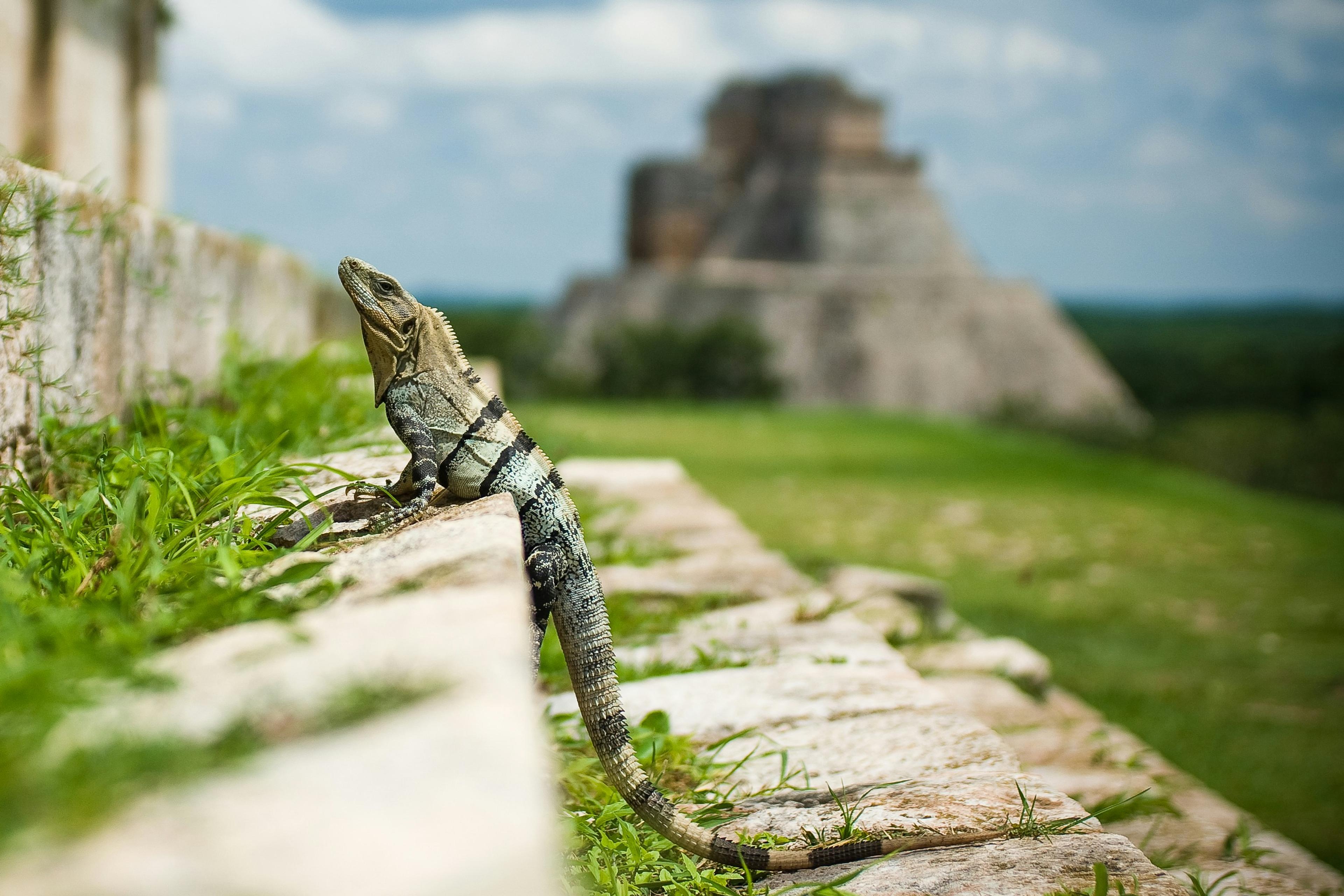 Chichen Itza