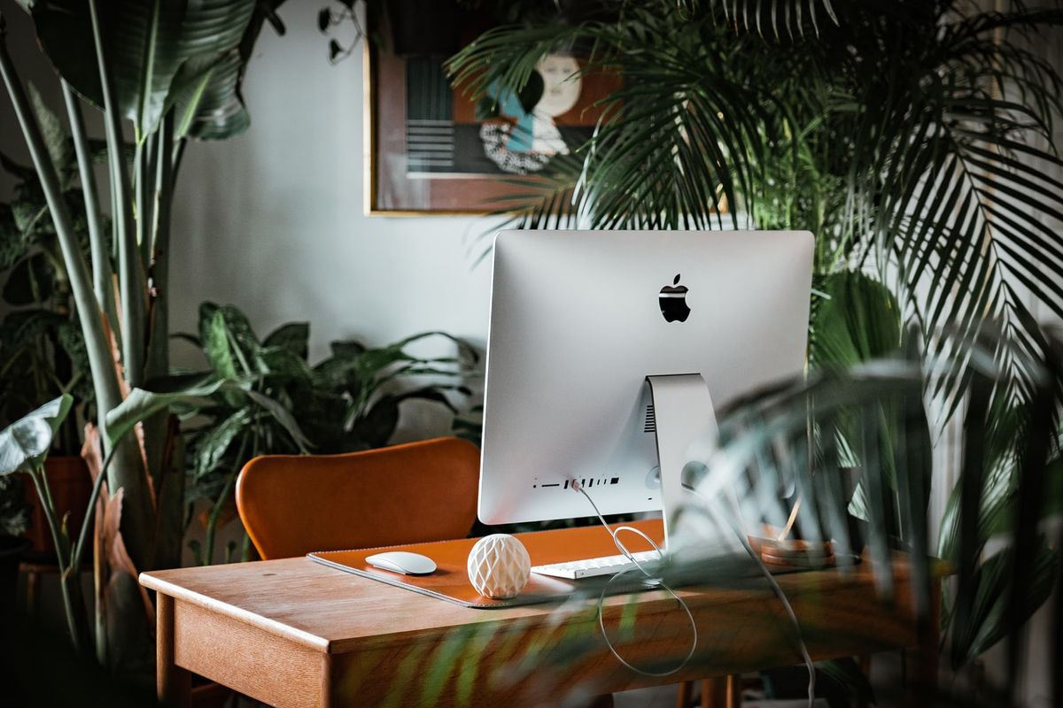 Browsing The Theme Store By Shopify Features