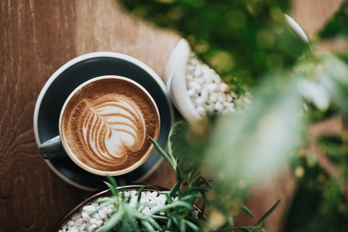 Design Inspiration - Popular Coffee Brands In 2022