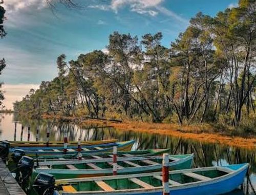 DIVJAKË-KARAVASTA NATIONAL PARK 2
