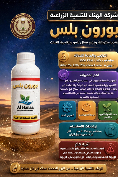 بورون بلس