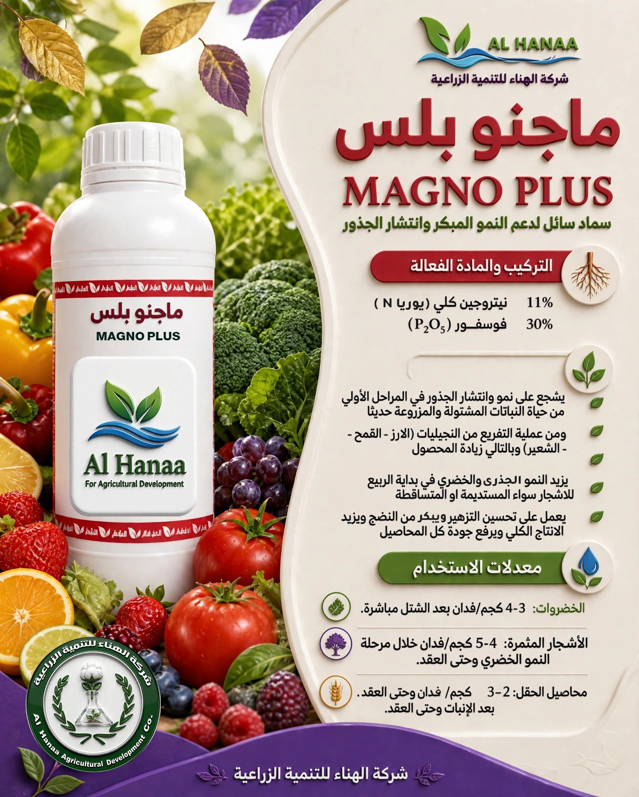 ماجنو بلس