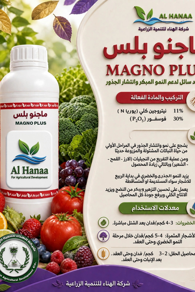 ماجنو بلس