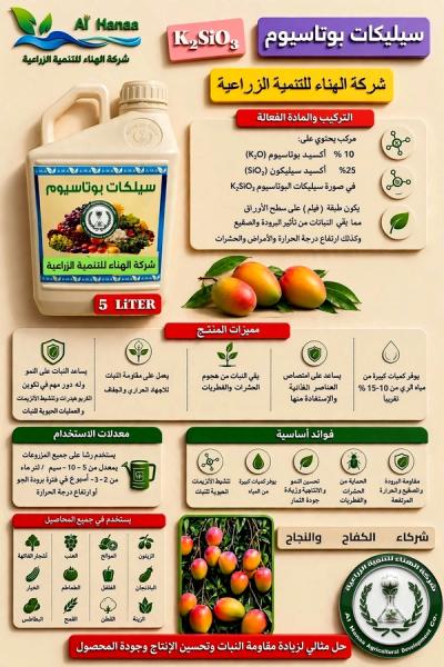 سيليكات بوتاسيوم