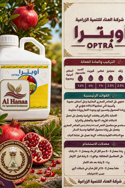 أوبترا