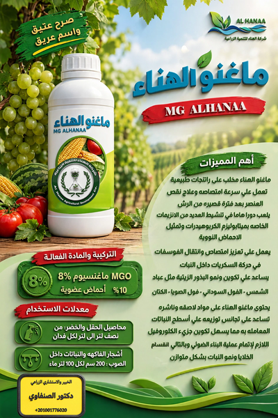 ماغنو الهناء