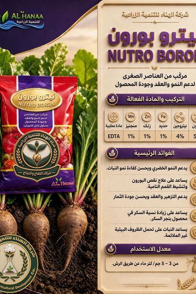 نيترو بورون
