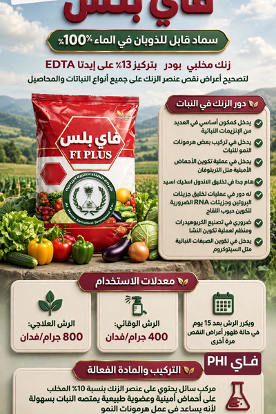 فاي بلس