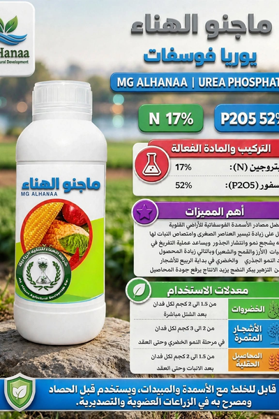 ماجنو الهناء