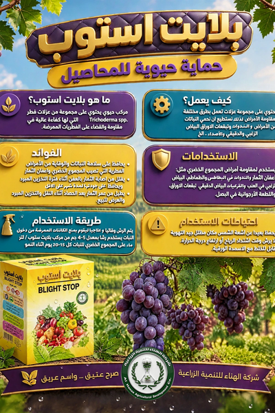بلايت استوب
