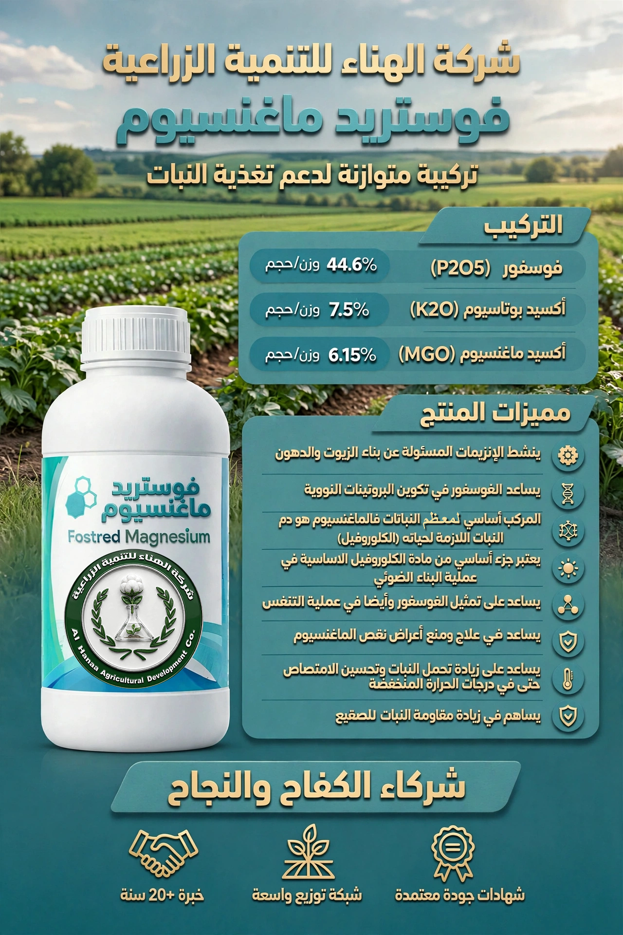 فوستريد ماغنسيوم